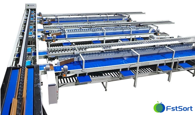 images/1691394771969fruit processing line.jpg